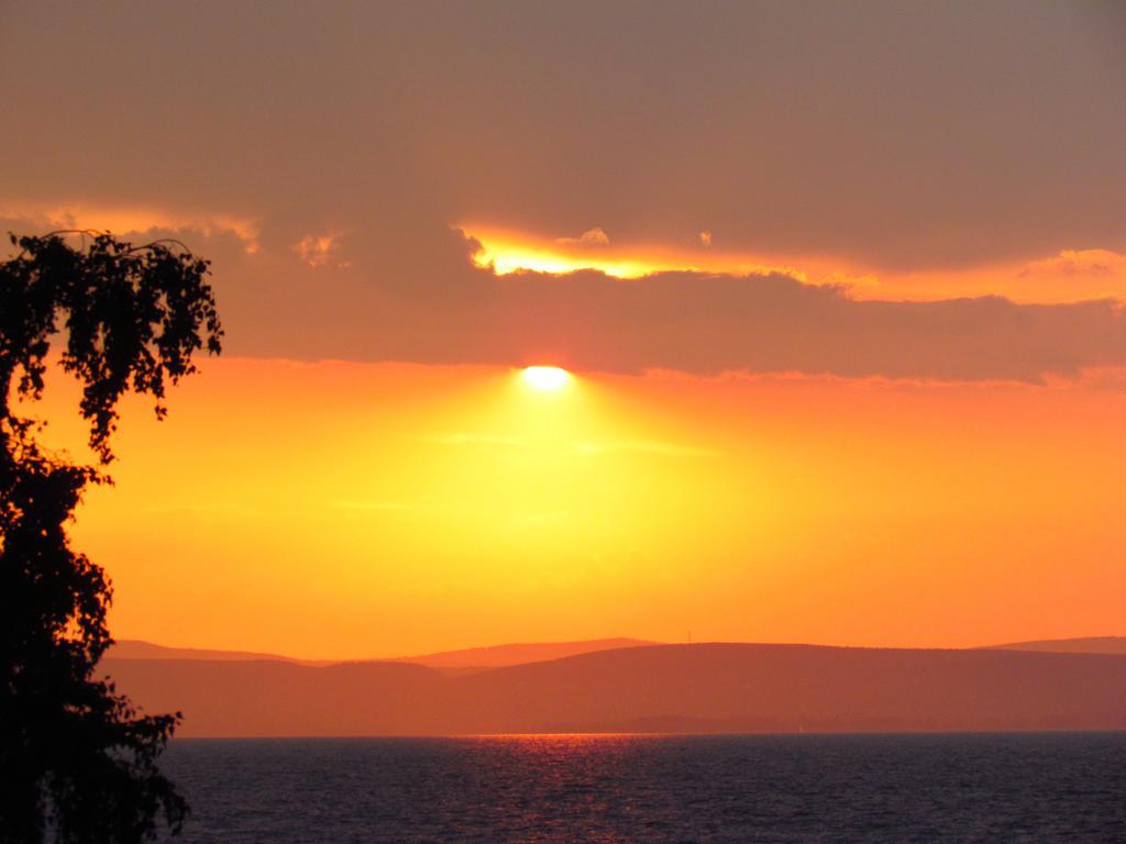 Balaton Wellness Apartman Siófok Rum bild